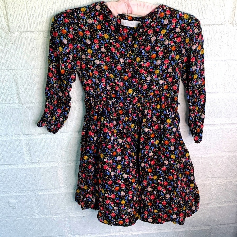 Zara Floral Long Sleeve Pocket Dress sz 9